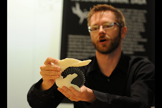 Leif Tapanila, from Idaho State University, shows a model of the buzz-tooth shark fossil Helicoprion at the UAA ConocoPhillips Integrated Science building in Anchorage, AK on Wednesday, May 13, 2015. Bob Hallinen / ADN In 1986, Ri