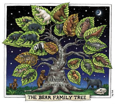 BEAR FAMILY TREE ART POSTER