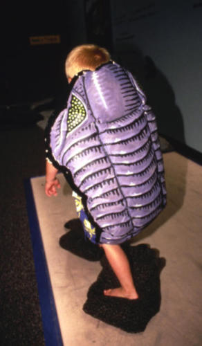 A trilobite costume for the kids... 