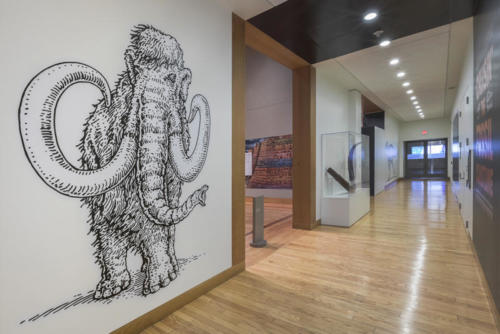 Woolly Mammoth graphic
