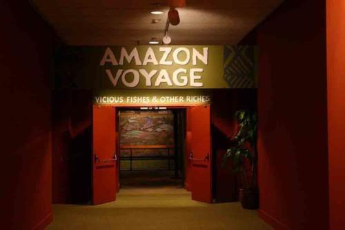 The Amazon Voyage exhibit at the Smithsonian's International hall. 