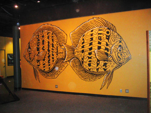 Wall graphic of discus fish, Miami Science Museum