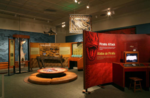 The Amazon Voyage exhibit in Miami