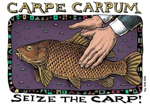 Carpe Carpum