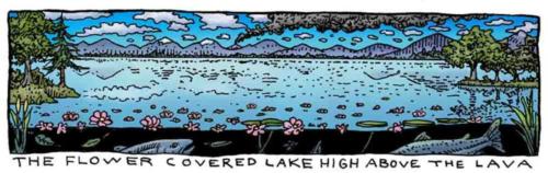 Flower Covered Lake