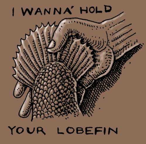 I Wanna Hold Your Lobefin
