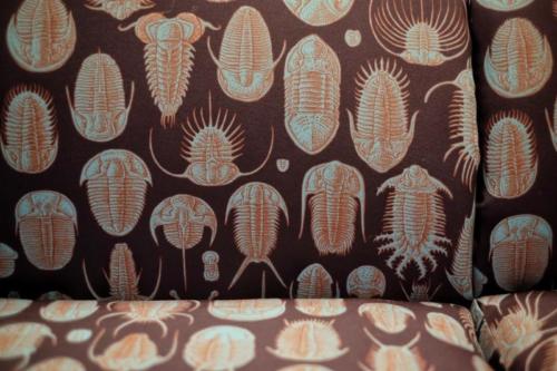 trilobite pattern by Ray 