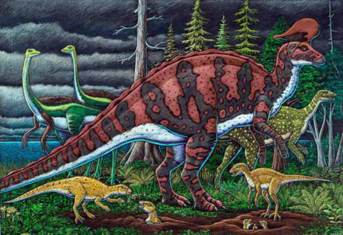 Lambeosaur