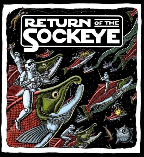 Return Of The Sockeye
