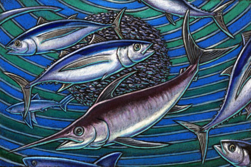 Swordfish  and Albacore Tuna