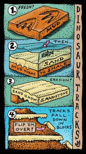 How Tracks are Formed