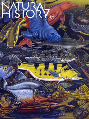 Natural History Magazine cover