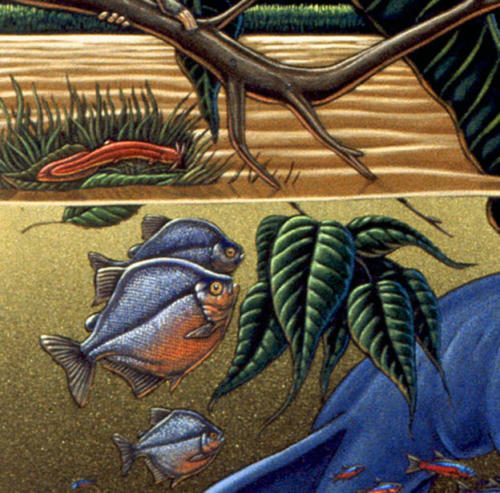 detail from Fishes of Amazonia mural