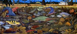 FISHES OF AMAZONIA ART POSTER