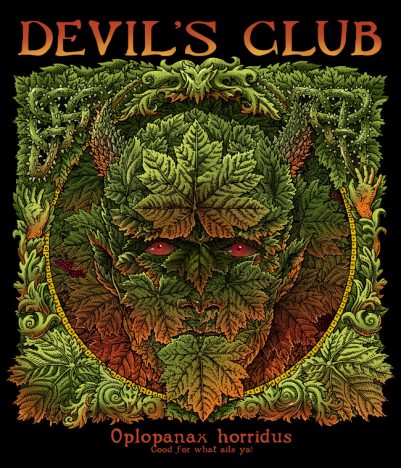 DEVIL'S CLUB