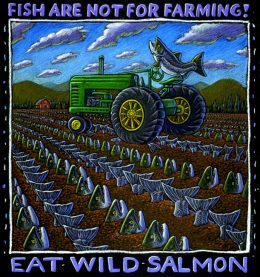 EAT WILD SALMON